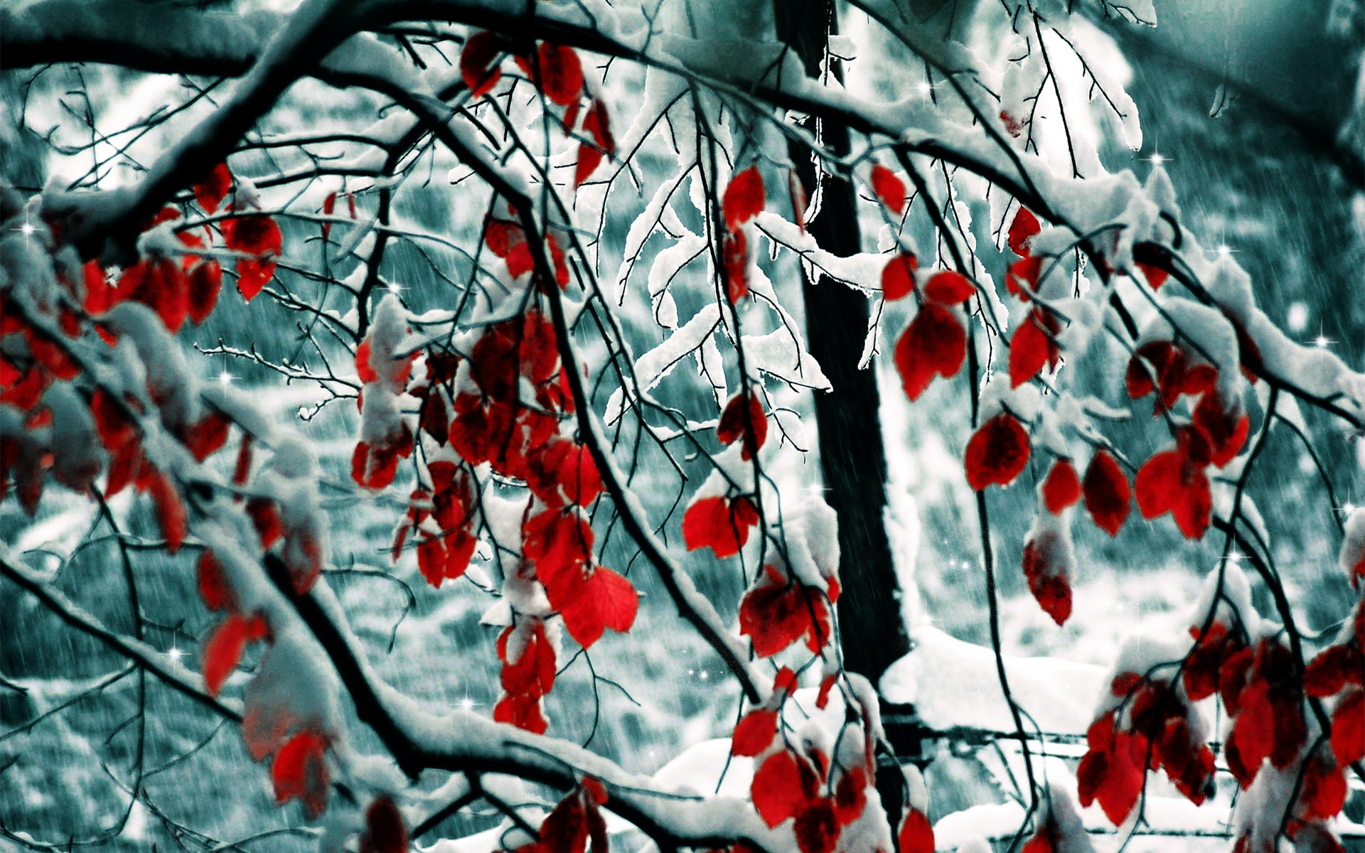 1920 x 1080 HD Wallpapers 2804
